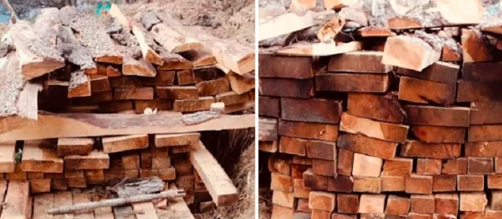 Illegal Timber Sleepers Seized in Doda, Six Labourers Detained